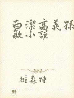 白洁高义孙倩张敏小说