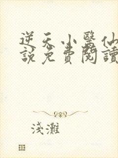 逆天小医仙 小说免费阅读完本