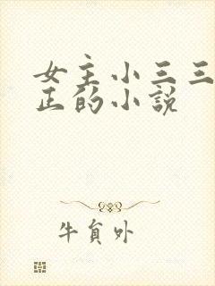 女主小三三观不正的小说封面