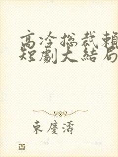 高冷总裁赖上我短剧大结局