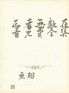 正者无敌在线观看免费全集封面