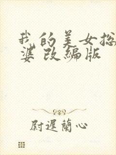 我的美女总裁老婆 改编版