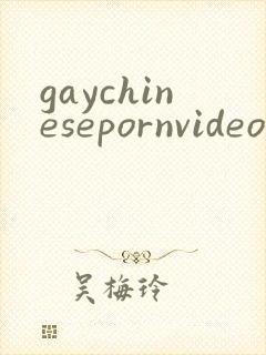 gaychinesepornvideo封面
