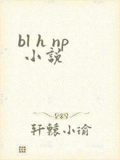 bl h np 小说