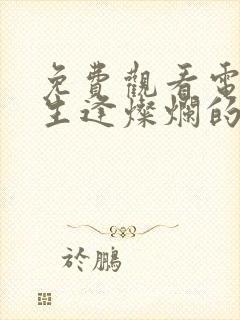 免费观看电视剧生逢灿烂的日子