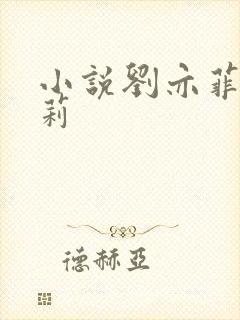 小说刘亦菲刘晓莉