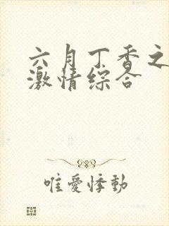 六月丁香之婷婷激情综合