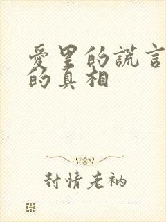 爱里的谎言仇恨的真相