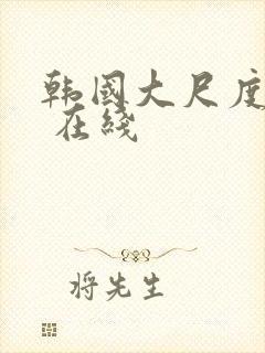 韩国大尺度电影 在线