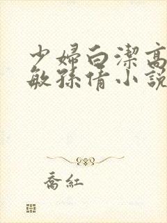 少妇白洁高义张敏孙倩小说