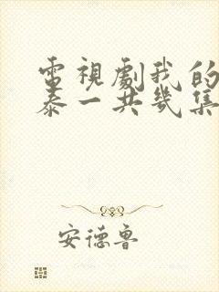 电视剧我的阿勒泰一共几集