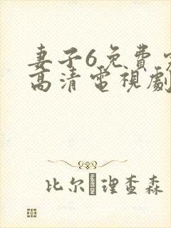 妻子6免费完整高清电视剧在线看