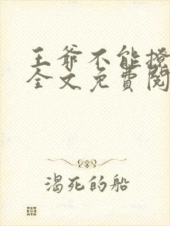 王爷不能撩小说全文免费阅读