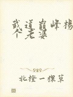 武道巅峰杨开几个老婆