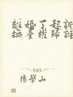 离婚了起诉孩子抚养权归谁