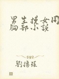 男生摸女同学的胸部小说