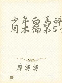 少年白马醉春风周木楠第5章