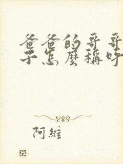 爸爸的哥哥的儿子怎么称呼