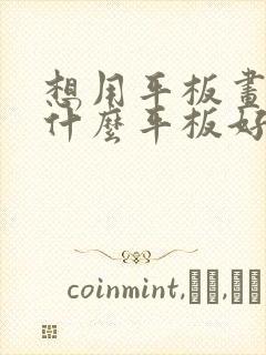 想用平板画画,什么平板好