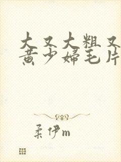 大又大粗又爽又黄少妇毛片口封面