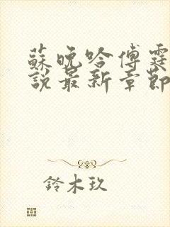 苏晚吟傅霆骁小说最新章节更新时间