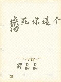 操死你这个小母狗