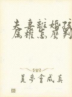 夫妻离婚孩子归属权怎么判