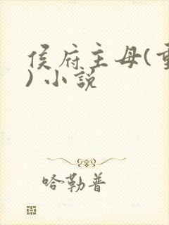 侯府主母(重生) 小说