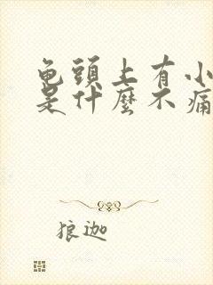 龟头上有小肉粒是什么不痛不痒