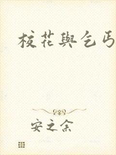 校花与乞丐后续