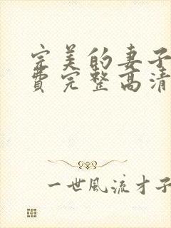 完美的妻子4免费完整高清电视剧在线看封面