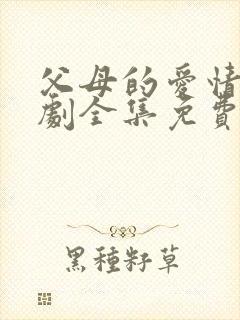 父母的爱情电视剧全集免费观看高清版封面