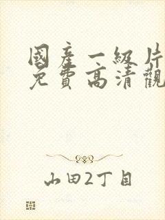 国产一级片在线免费高清观看