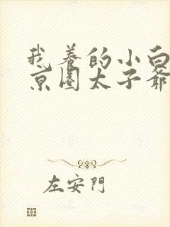 我养的小白脸是京圈太子爷短剧免费观看