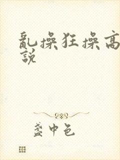 乱操狂操高潮小说