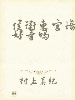 侯卫东官场笔记好看吗