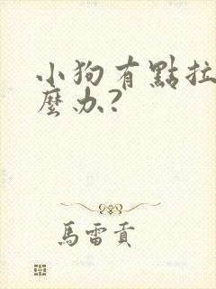 小狗有点拉稀怎么办?