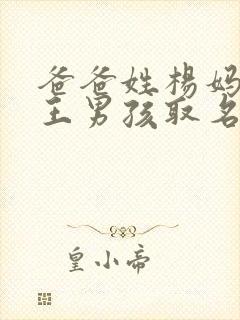 爸爸姓杨妈妈姓王男孩取名