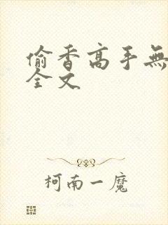 偷香高手无删减全文封面