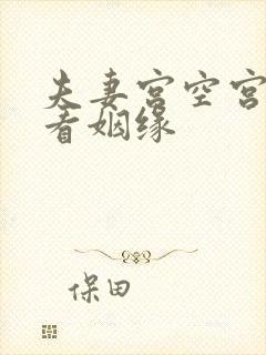 夫妻宫空宫怎么看姻缘