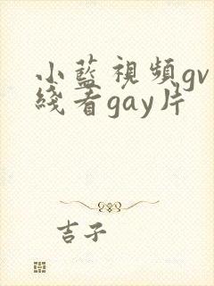 小蓝视频gv在线看gay片