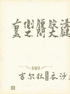 右侧腹股沟到膝盖之间大腿前面疼痛