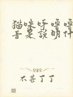 猫咪呼噜噜的声音是说明什么