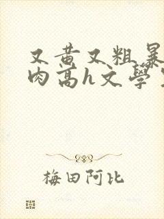 又黄又粗暴的纯肉高h文学生男男