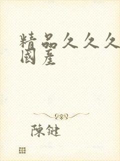 精品久久久久久国产