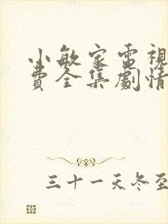 小敏家电视剧免费全集剧情封面