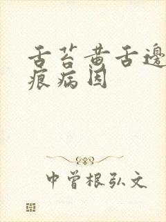 舌苔黄舌边有齿痕病因