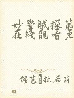 妙警贼探第六季在线观看免费