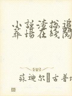 小说渣总追妻火葬场在线阅读