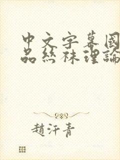 中文字幕国产精品丝袜理论